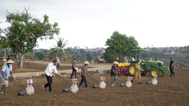 Tanam Jagung Bareng Jokowi dan Petani di Jeneponto, Plt Gubernur Harap Produksi Sulsel Topang Kebutuhan Nasional