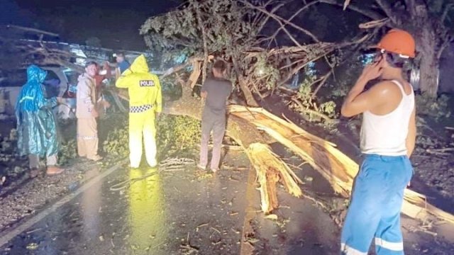 Akibat angin puting beliung bangunan rumah dan mesjid terdampak serta pohon tumbang di sepanjang ruas jalan.