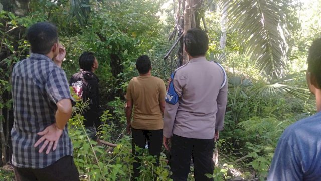 Polsek Bontosikuyu Kerjasama Pemdes Lantibongan, Operasi Pohon Ijuk Yang Produksi Tuak