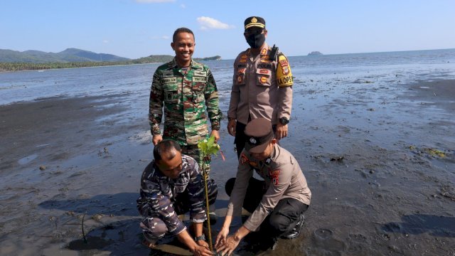 TNI-Polri Dan Stakeholder Di Selayar, Ikuti Kegiatan Penanaman Mangrove Secara Nasional Di Pantai Laiyolo