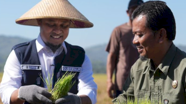 Program Mandiri Benih Andalan Sukses Bawa Sulsel Berjaya di Sektor Pertanian