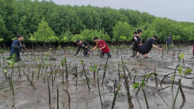 Program Penanaman Mangrove Andalan Malah Diklaim Danny Dalam Debat