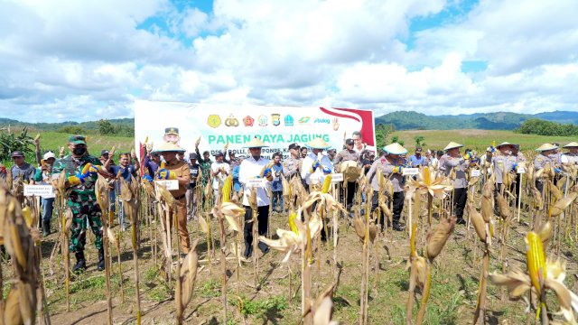 Mentan Tetapkan Harga Dan Siapkan Anggaran, Pekarangan Pun Bisa Penuh Dengan Jagung
