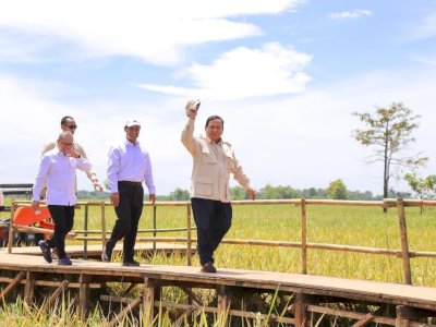 Mentan Amran, “Sentuhan Ajaib&rdquo; Presiden Prabowo Hentikan Impor Beras