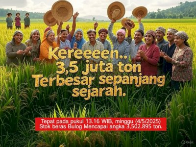 Serapan Beras Bulog Januari&ndash;Mei Tertinggi dalam 57 Tahun, Tanpa Impor