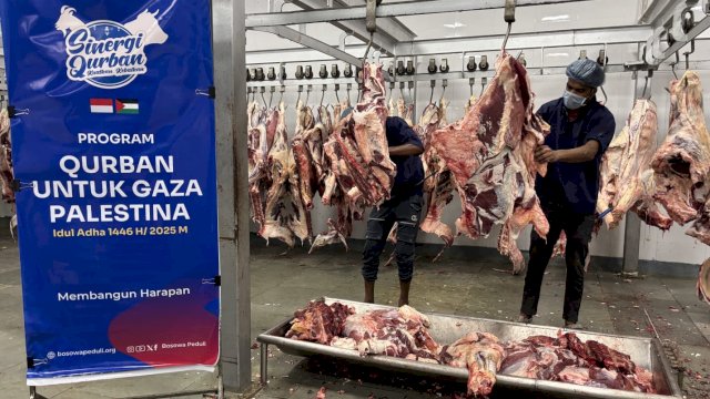 Bosowa Salurkan Daging Hewan Qurban untuk Warga Gaza di Tengah Krisis Kemanusiaan