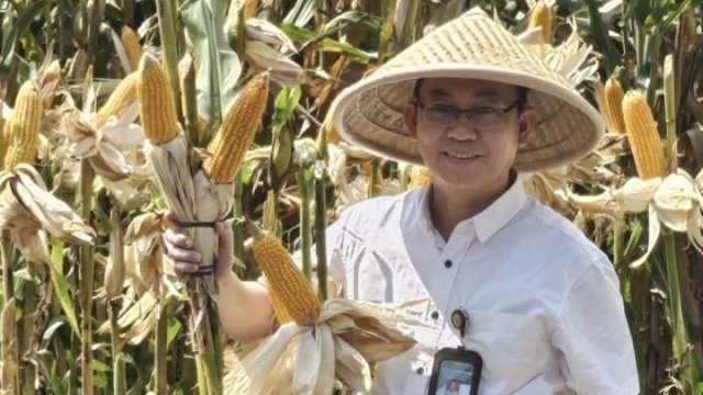 Bantul Dukung Program Swasembada Pangan Nasional Lewat Berbagai Inisiatif Pertanian