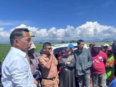 Pupuk Subsidi Aman, Bupati Sidrap Tinjau Kios yang Dikelola Anak Muda