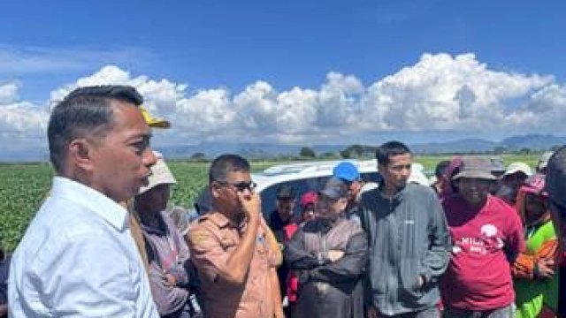 Pupuk Subsidi Aman, Bupati Sidrap Tinjau Kios yang Dikelola Anak Muda