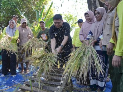 Lewat “Abbulo Sibatang”: Pemkot, Petani dan Penyuluh Siap Genjot Produksi Padi