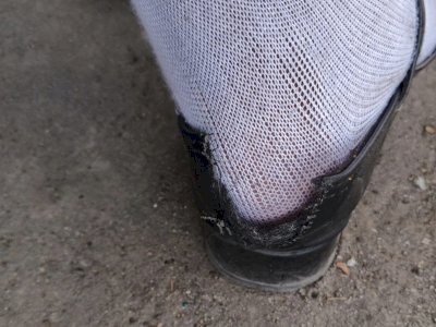 Empat Sepatu Paskibraka Selayar Rusak, Satu Robek Parah di Bagian Tumit