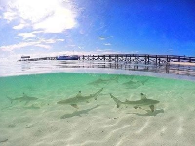 Pengurusan PKS Lamban, Diduga Ada Main Mata Dengan Pengusaha?