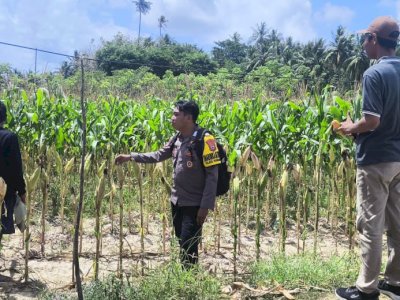 Brigpol Nur Afrizal Putra Tekankan Peran Polisi dalam Mendukung Program Ketahanan Pangan Desa