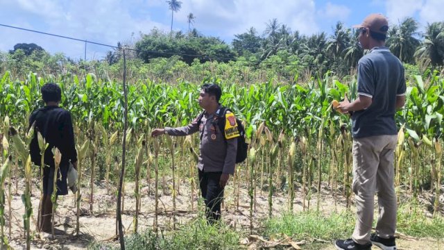 Brigpol Nur Afrizal Putra Tekankan Peran Polisi dalam Mendukung Program Ketahanan Pangan Desa
