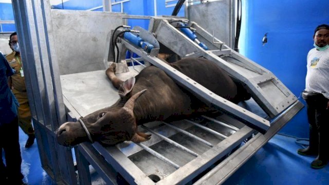 DPRD Makassar Soroti Kinerja Mandek PD RPH, Usulkan Transformasi Jadi Perseroda Pangan