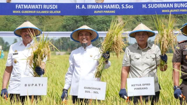 Panen Raya Padi di Pinrang, Gubernur Sulsel Serahkan Bantuan Rp20 Miliar untuk Infrastruktur dan UMKM