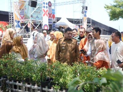 Wali Kota Makassar Munafri Ingin Urban Farming Solusi Pertanian Kota dan Penopang Pangan