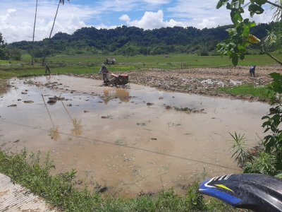 Petani Dua Desa di Enrekang Keluhkan Tak Kunjung Dapat Bantuan Traktor dari Pemerintah