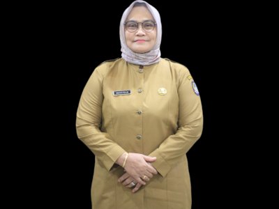 Pemprov Sulsel Respon Cepat Dugaan Perkawinan Anak di Luwu, DP3ADaldukKB Turun Tangan