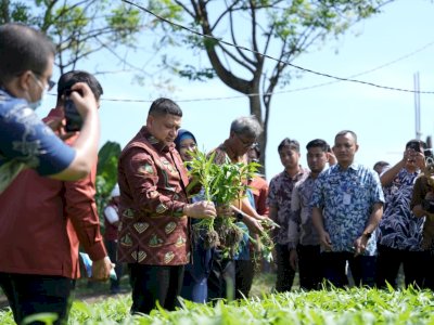 Kunjungi Dua Lokasi, Appi Pastikan Urban Farming Jadi Prioritas di Semua Kecamatan