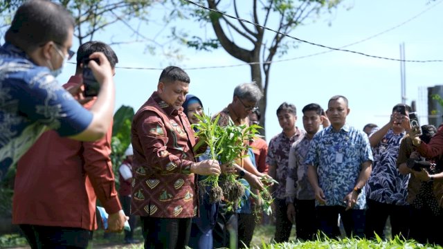 Kunjungi Dua Lokasi, Appi Pastikan Urban Farming Jadi Prioritas di Semua Kecamatan