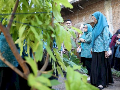 TP PKK Makassar Perkuat Ketahanan Pangan Lewat Bimtek dan Peninjauan Kebun Aku Hatinya PKK