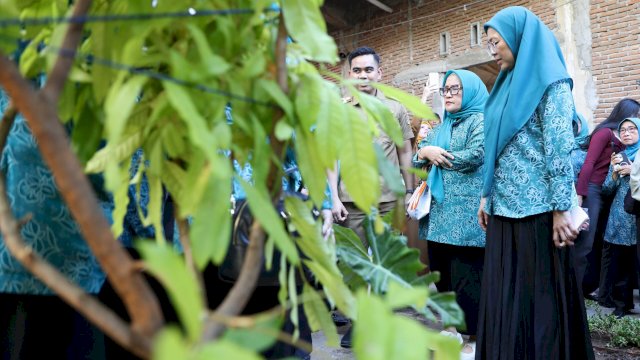 TP PKK Makassar Perkuat Ketahanan Pangan Lewat Bimtek dan Peninjauan Kebun Aku Hatinya PKK