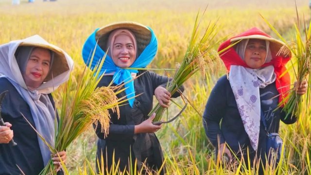 FAO Akui Keunggulan Pangan Nasional: Stok Beras Melimpah, Indonesia Tak Lagi Impor dan Siap Ekspor